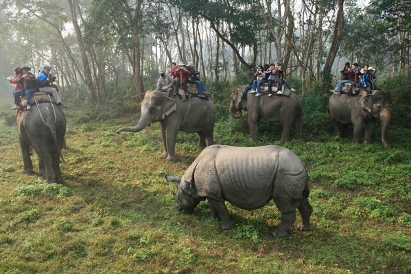 Jungle_Safari_Chitwan